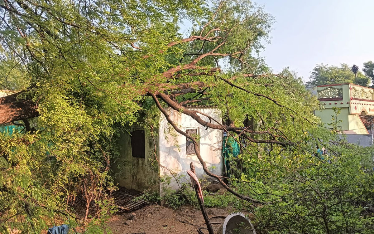 వినోబాన‌గ‌ర్‌లో ఇంటిపై విరిగిపడ్డ భారీ చింతచెట్టు