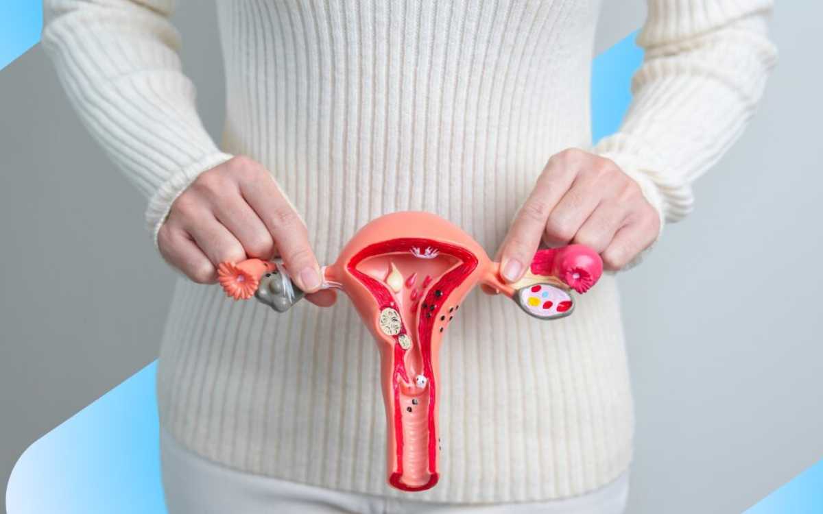 Estrogen | ఈస్ట్రోజెన్‌, ప్రొజెస్టెరాన్ కేవ‌లం సంతానోత్ప‌త్తికే కాదు, మ‌హిళ‌ల‌కు అనేక విధాలుగా ప‌నిచేస్తాయి..