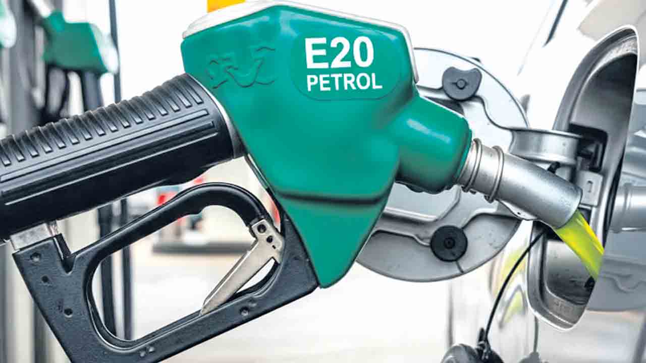ఈ20 పెట్రోల్‌తో అన్ని వాహనాలపై ఎఫెక్ట్‌.. ఈ10 పెట్రోల్‌ కూడా అందుబాటులో ఉంచాలి