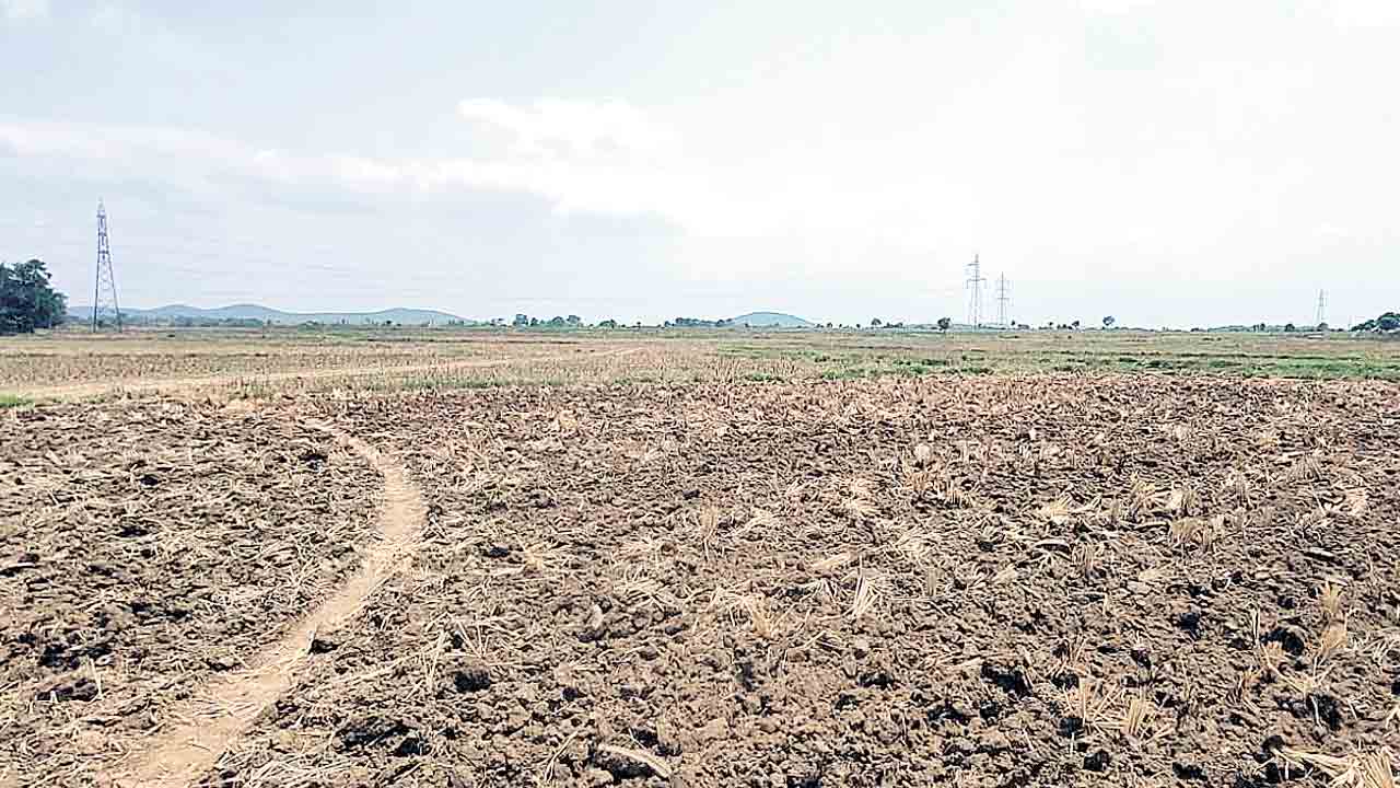 కమ్ముకొన్తున్న కరువు మేఘాలు.. ఎస్సారెస్పీ దిగువన నార్లు పోయని రైతులు