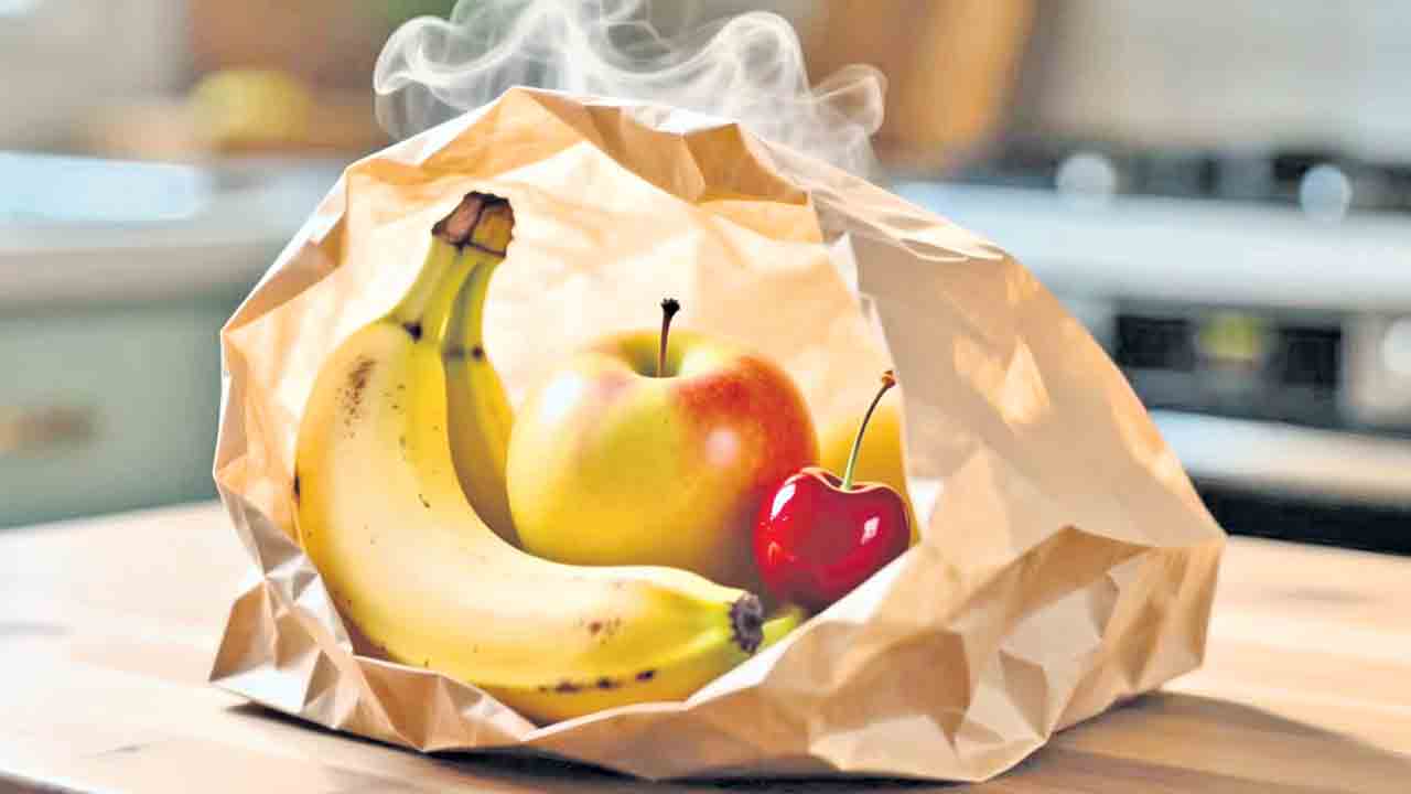 పేపర్‌ బ్యాగే ఎందుకు?