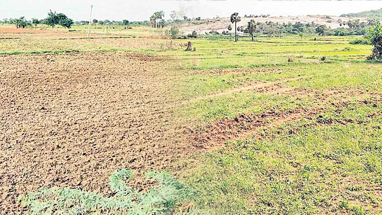 వానకాలం సాగు మటాష్‌.. కాంగ్రెస్‌ పాలనలో రైతుల కష్టాలు పునరావృతం