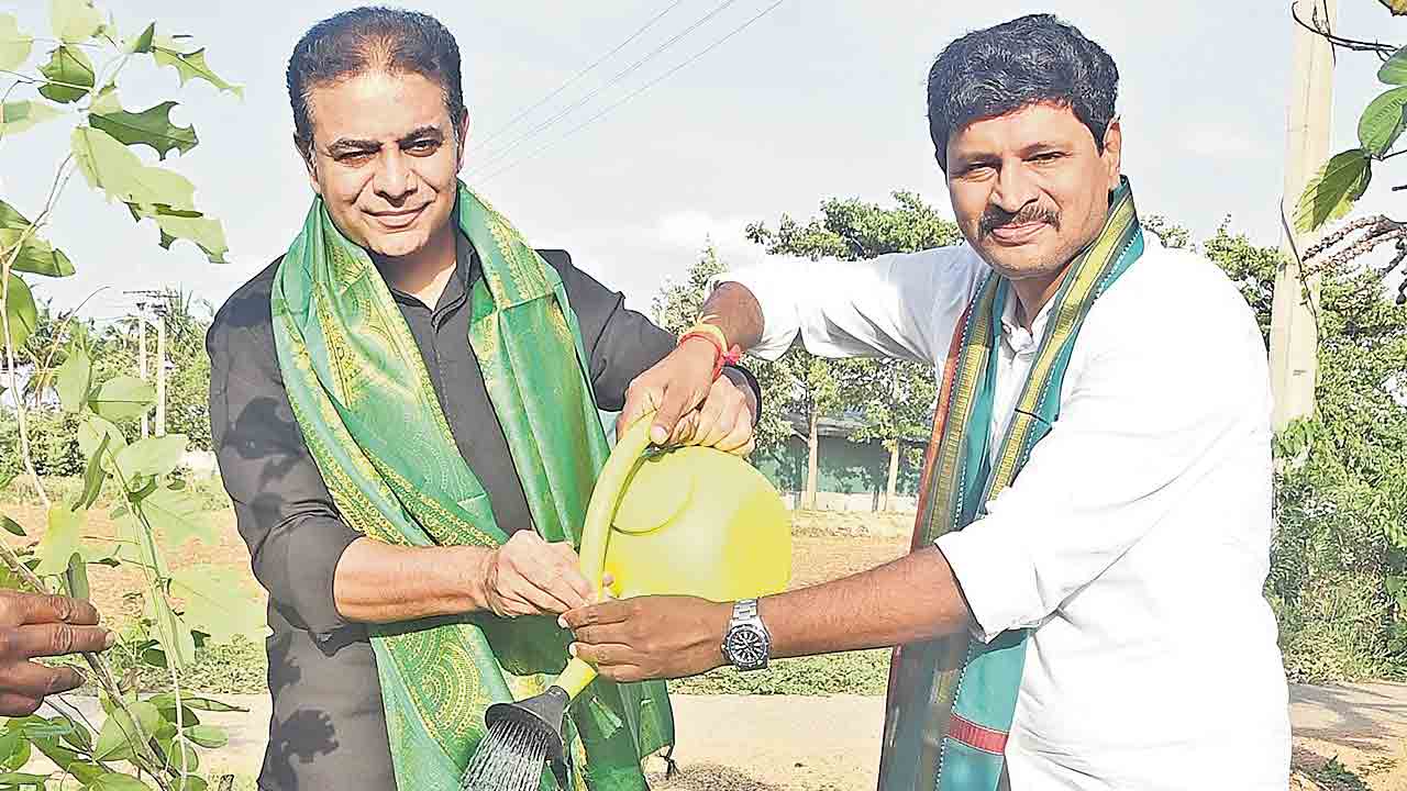గోదావరి తీరానికి వెదురు కంచె.. 99 లక్షల మొకలతో రిటైనింగ్‌ వాల్‌
