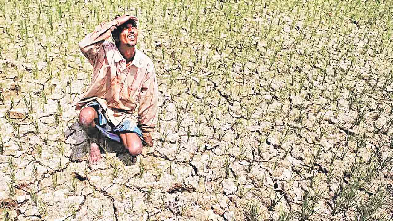 సాగుపై ఎల్‌ నినో పంజా.. భారీగా తగ్గనున్న పంటల సాగు