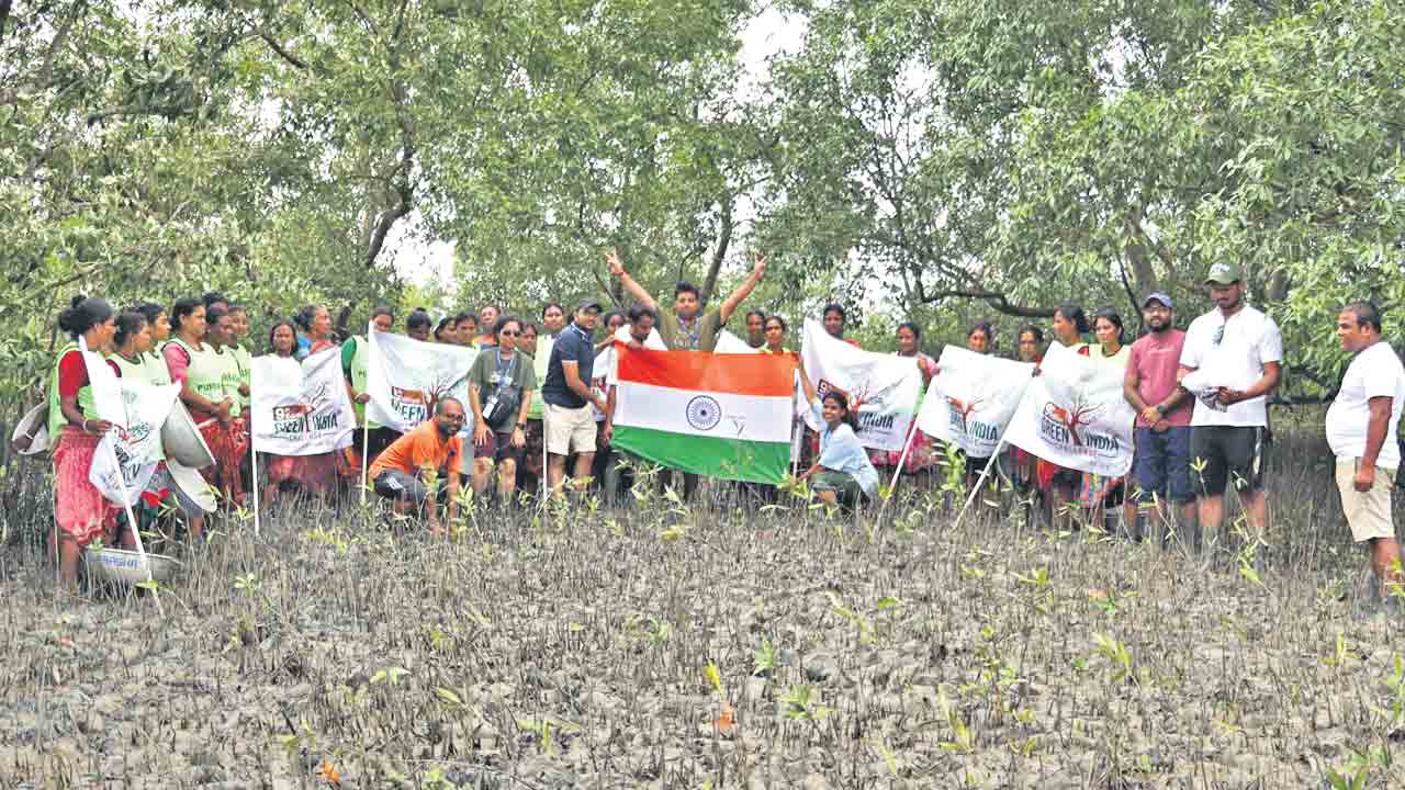 సుందర్‌బన్స్‌కు గ్రీన్‌ చాలెంజ్‌ రక్షణ.. మరో 10 వేల మడ మొకల పెంపకం