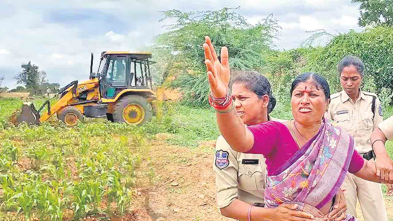 Pharma lands | పచ్చని చేన్లలో బుల్డోజర్‌ దండయాత్ర.. పోలీసు పహారాతో జొన్న పంట ధ్వంసం
