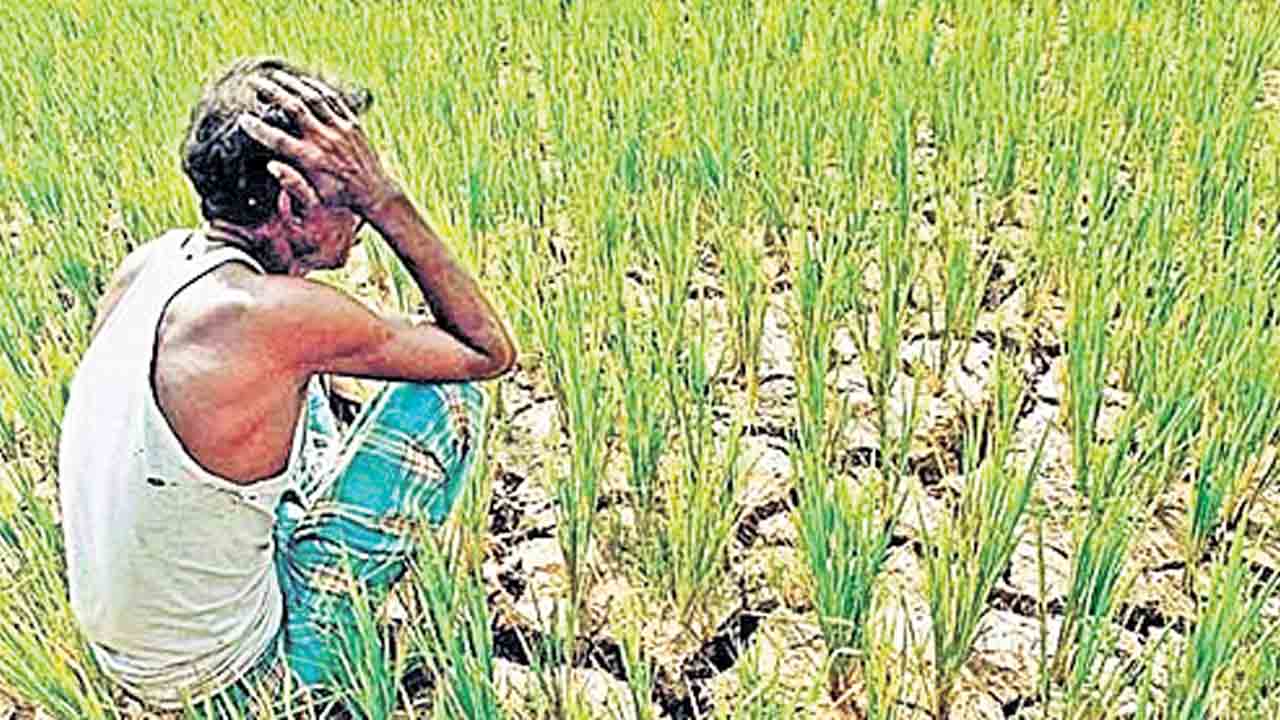 అన్నదాతను ఆగం చేసిన కాంగ్రెస్‌