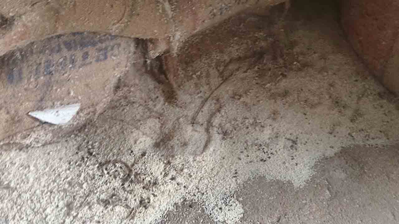 గోదాంలో ముక్కిపోతున్న దొడ్డు బియ్యం