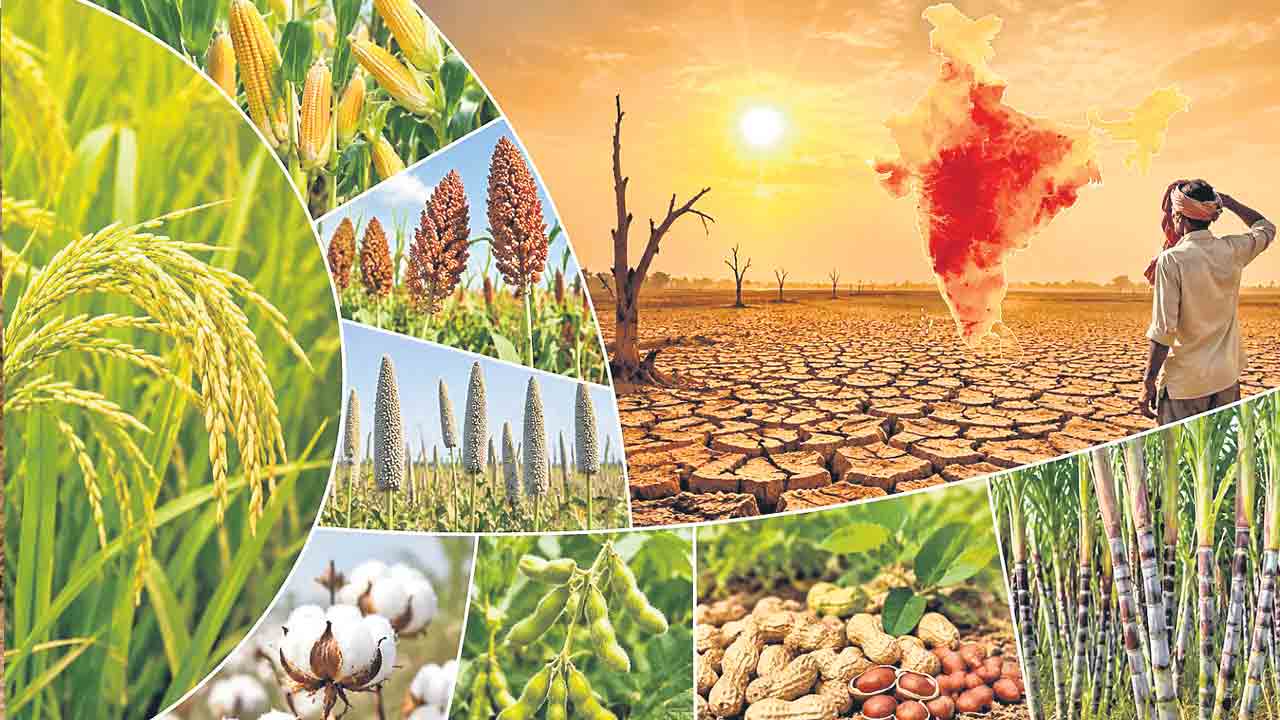 దేశంలో సాగు సంక్షోభం!