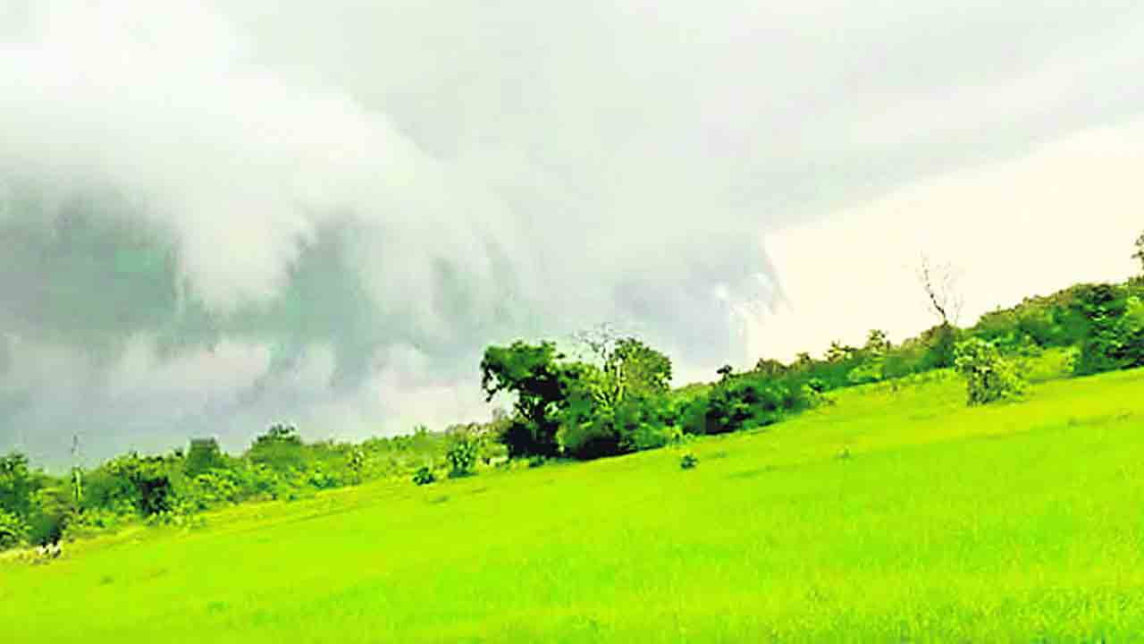 పచ్చని అడవులపై ప్రకృతి ప్రకోపం!