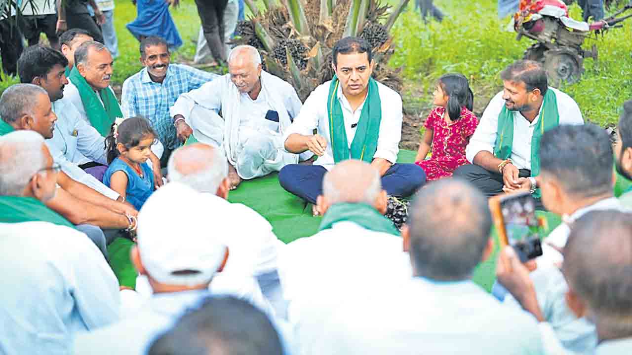 ఆయిల్‌పామ్‌కు చిరునామాగా తెలంగాణను మారుస్తం