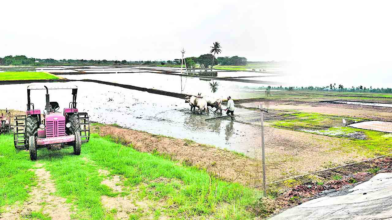 రైతు కూలీల ఆకలి కేకలు