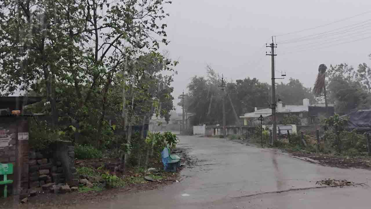 జిల్లాలో మోస్తరు వర్షం
