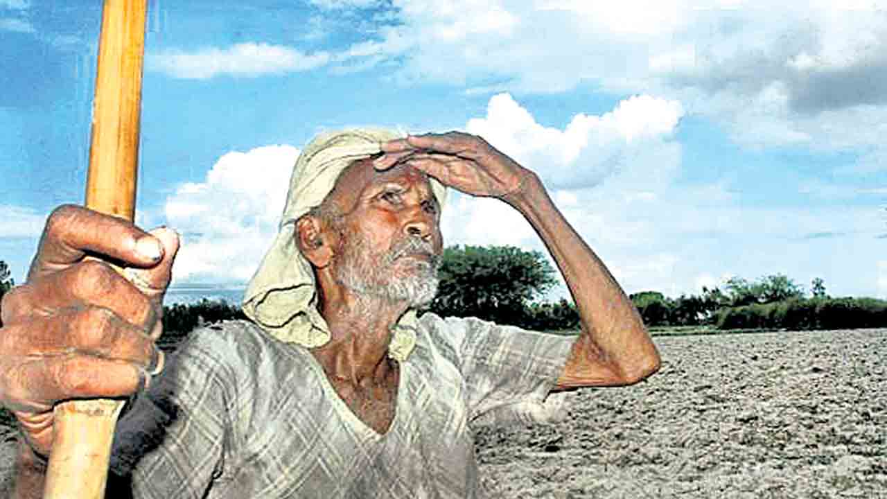 కాగితాలపైనే ఎవుసం!