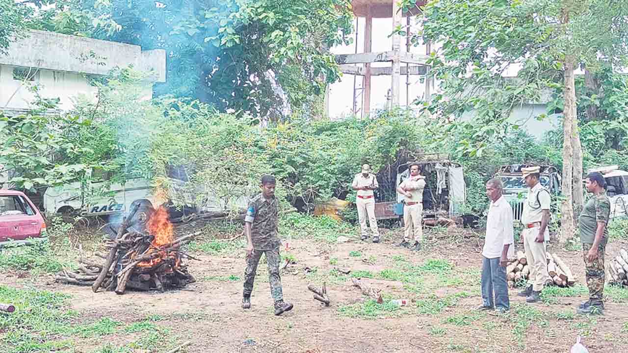 చిరుత కళేబరం దహనం