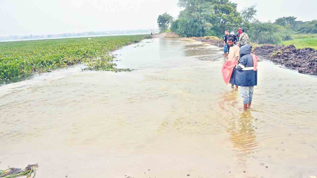 పంటలకు జీవం ..వర్షాలతో అన్నదాతకు ఊరట