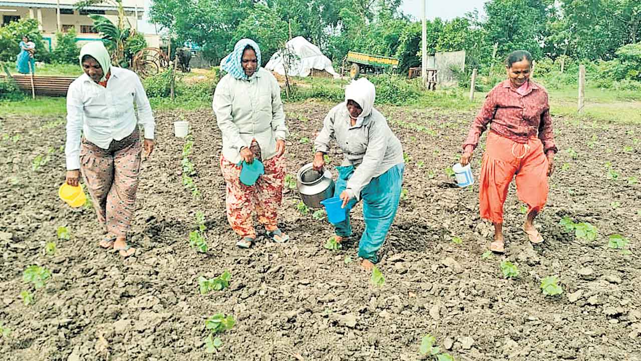 నీటి కరువు.. సాగు బరువు!