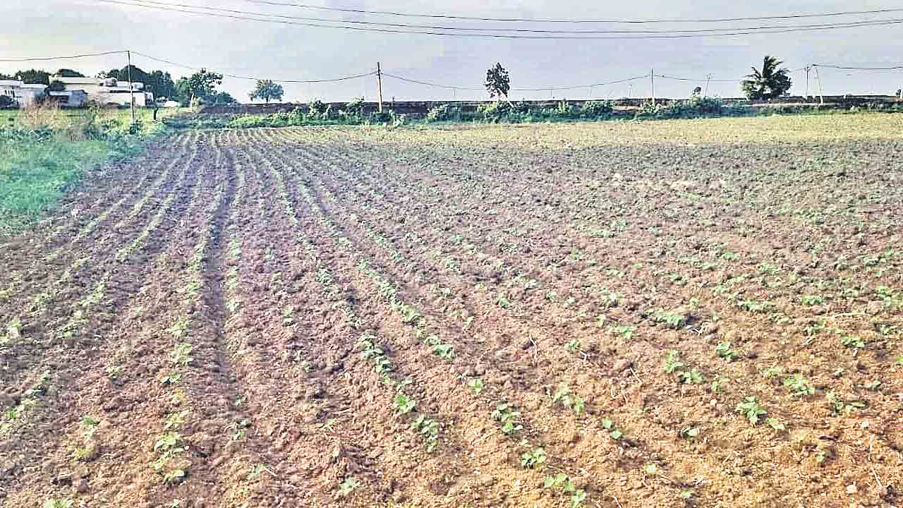 కార్తెలన్నీ కరిగె.. కన్నీరే మిగిలె