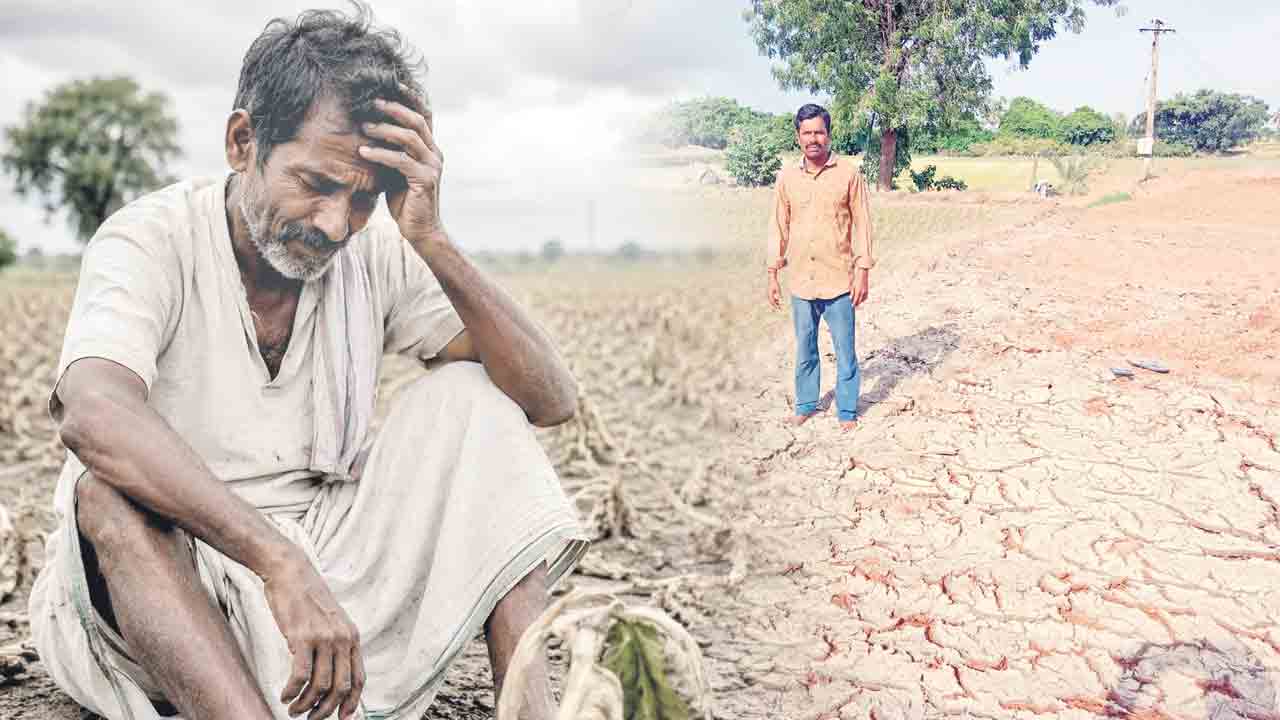 ఎటుచూసినా కరువు ఛాయలే