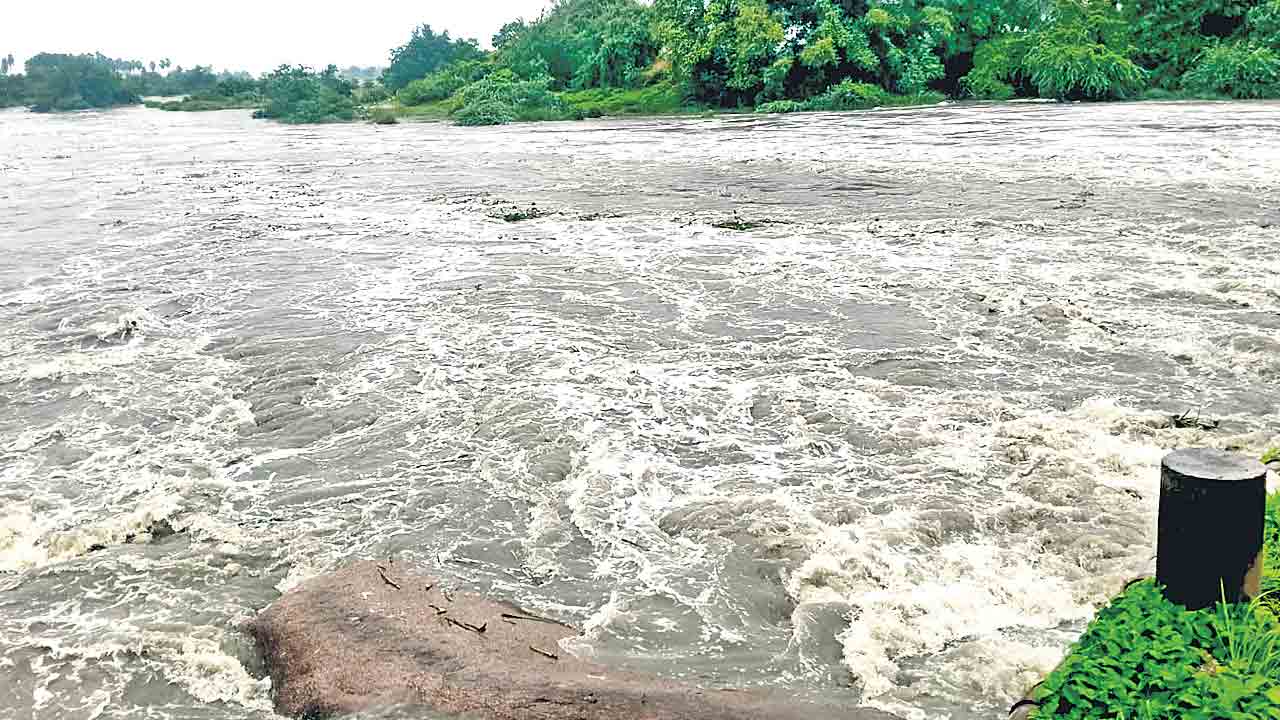 వాన జోరు.. రైతు హుషారు..