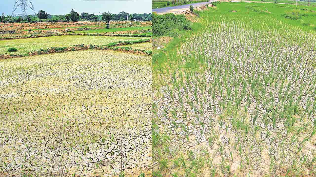 బోర్ల కింద సాగు గట్టెక్కేనా?