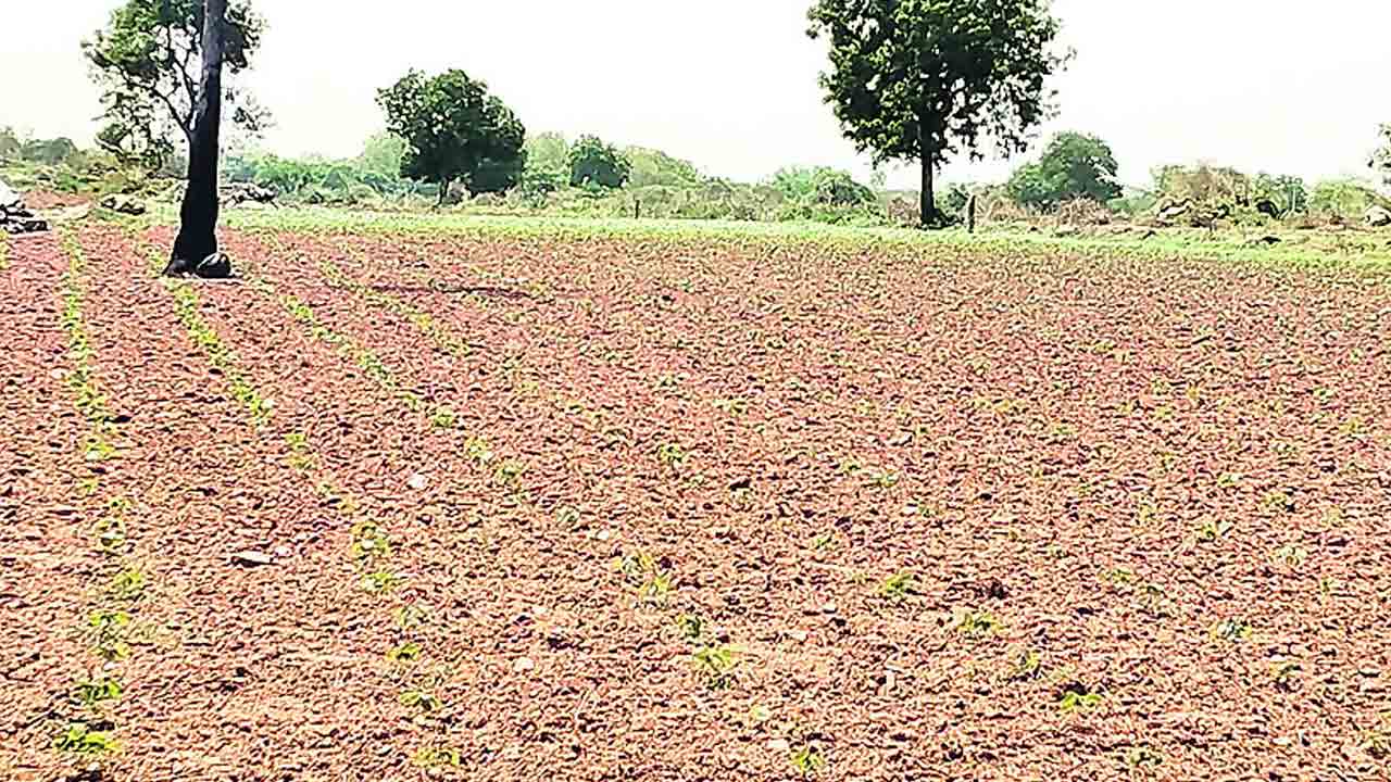 నీళ్లు లేని చెరువులు.. బీళ్లుగా భూములు!