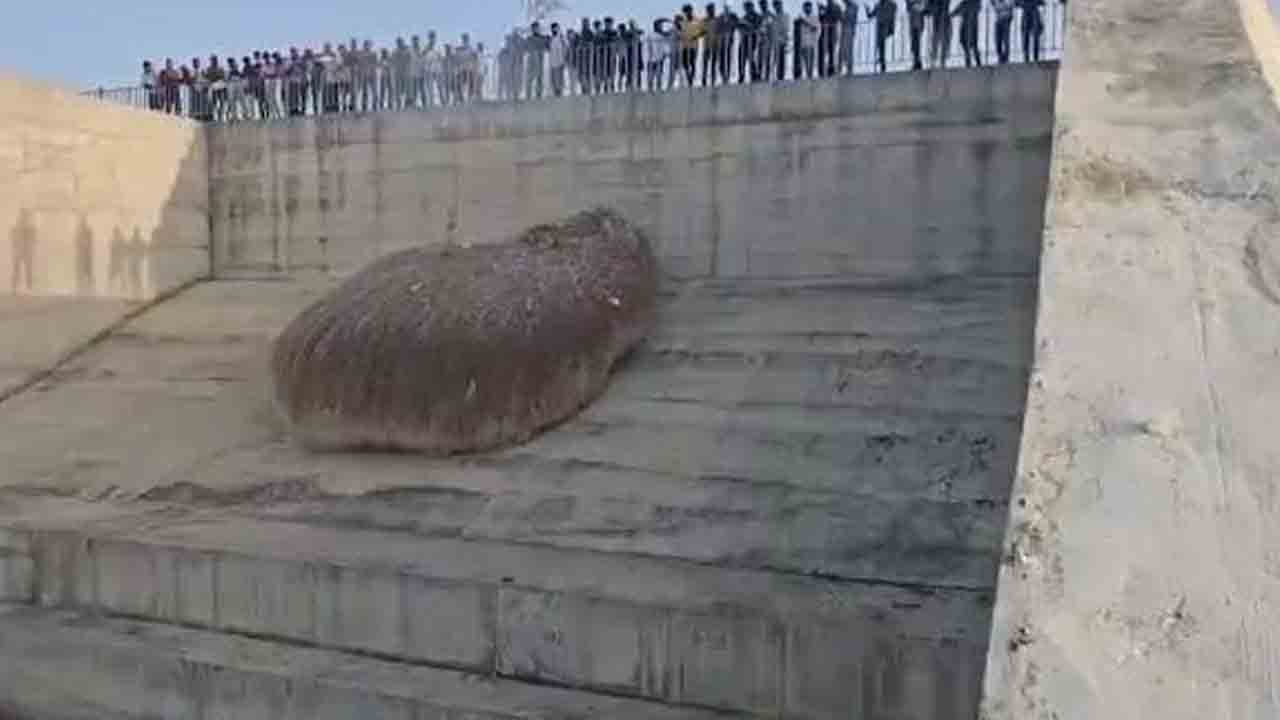 పీఆర్‌ఎల్‌ఐ రెండో మోటర్‌ డ్రై రన్‌