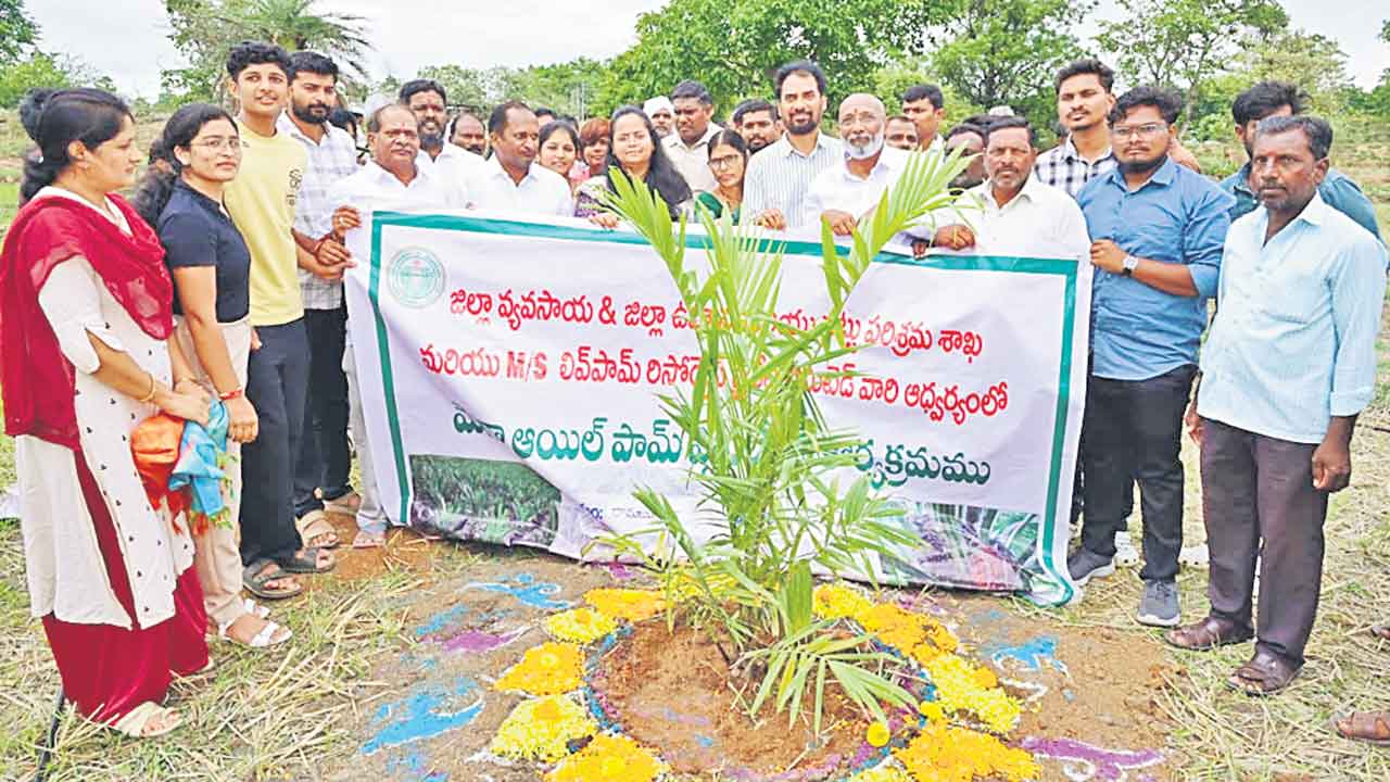 ఆయిల్‌పామ్‌ సాగుకు ప్రోత్సాహం