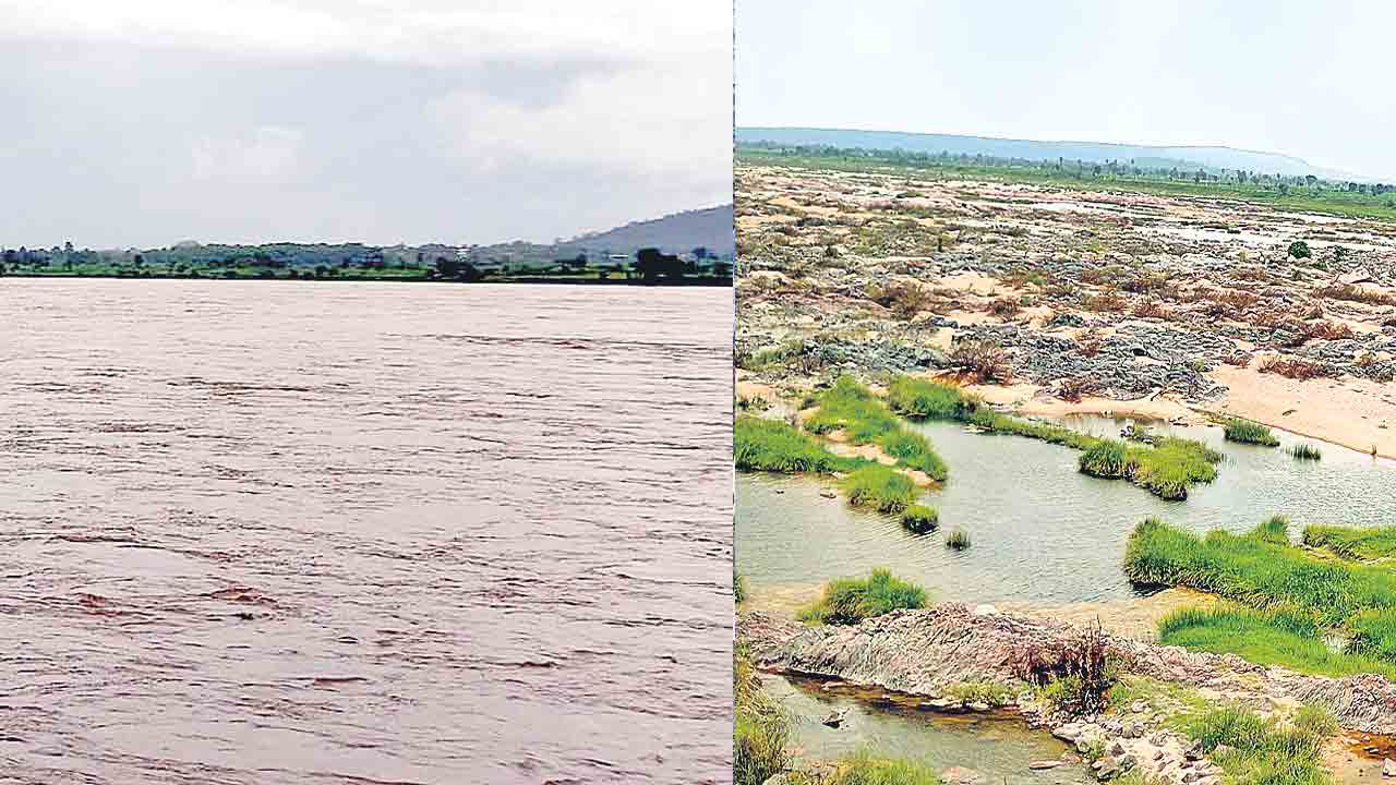 నీరులేక గోదావరి వెలవెల