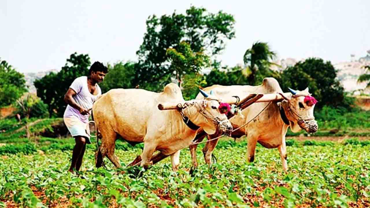 రైతన్నకు బీఆర్‌ఎస్‌ భరోసా