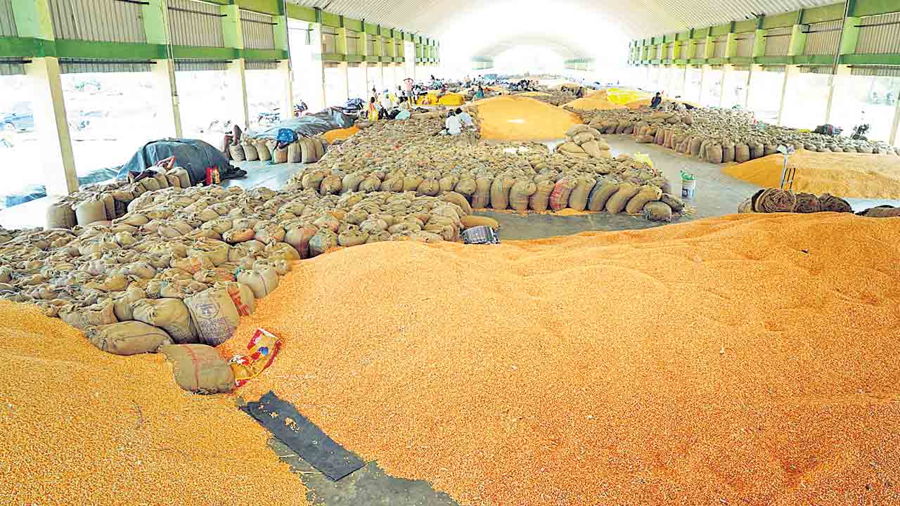 మక్కల కొనుగోళ్లలో కాంగ్రెస్‌ మార్క్‌ కమీషన్‌
