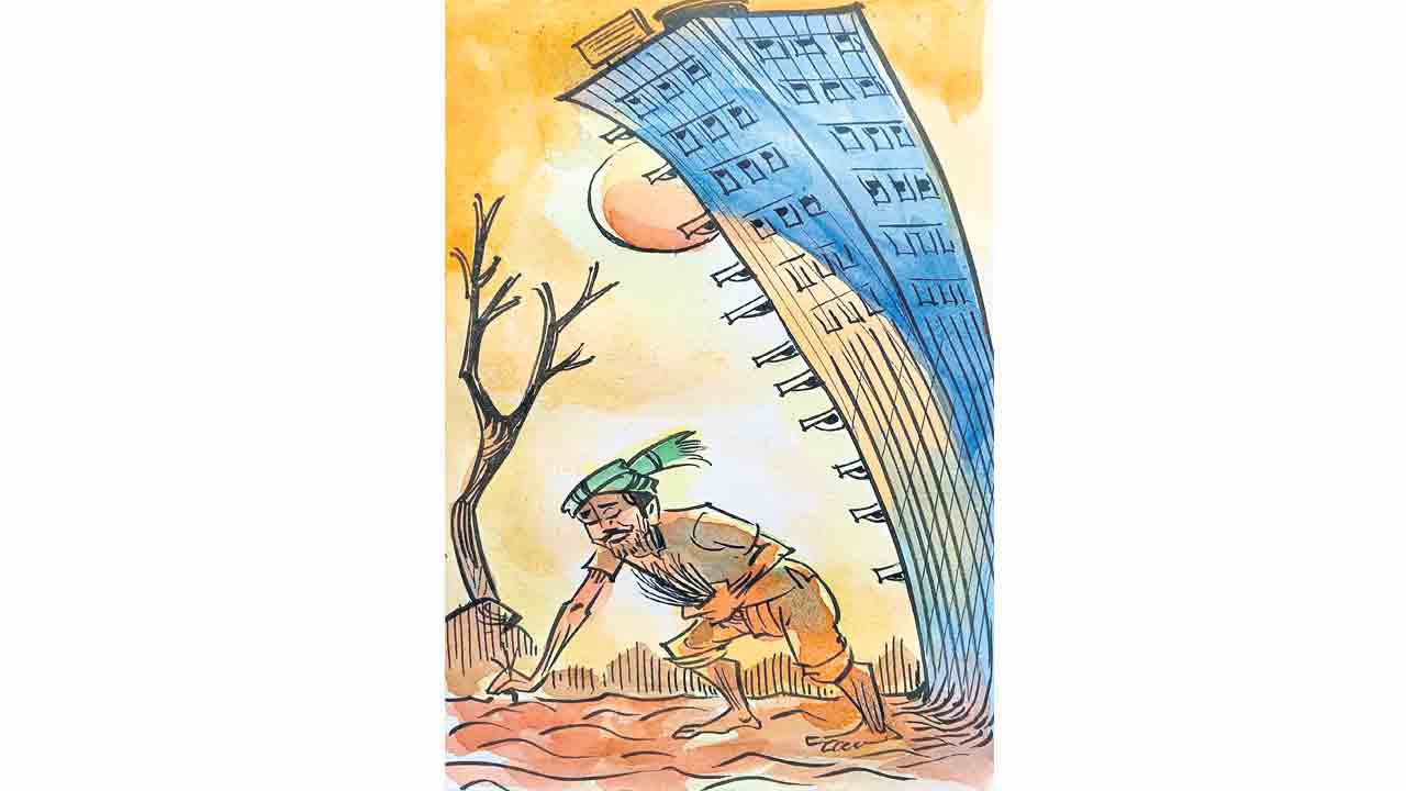 చివరి విత్తనం