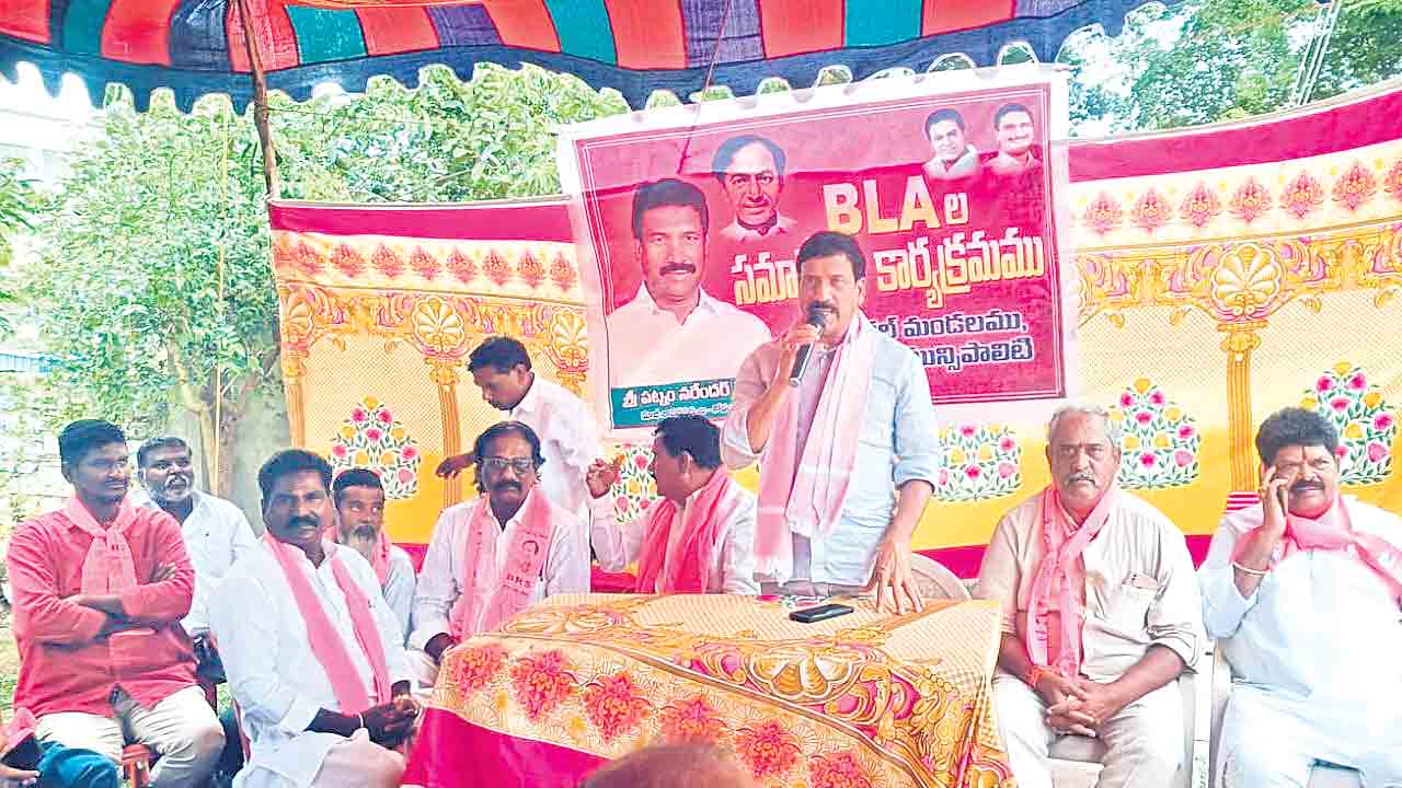 బీఎల్వోలు అప్రమత్తంగా ఉండాలి