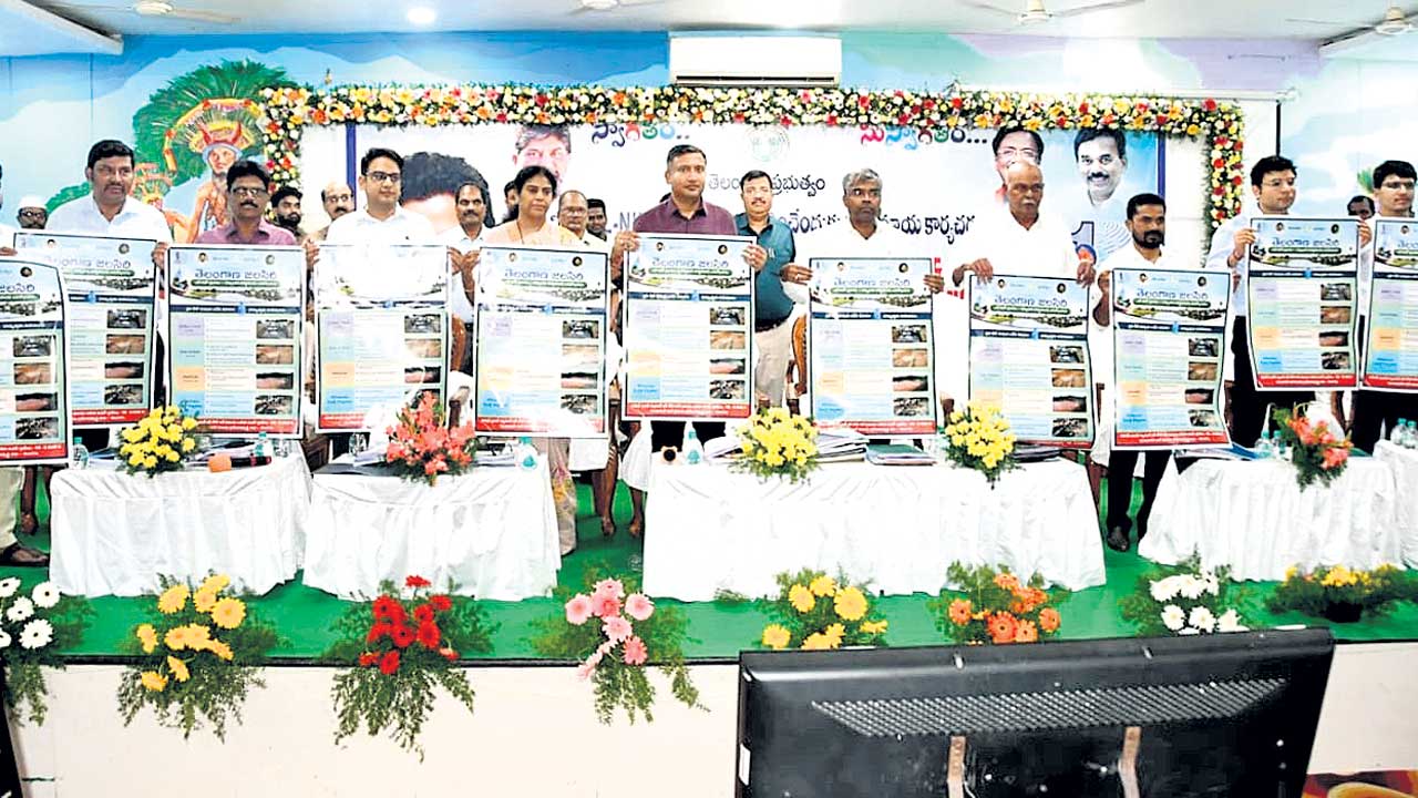 ఎల్‌నినోను ఎదుర్కొందాం