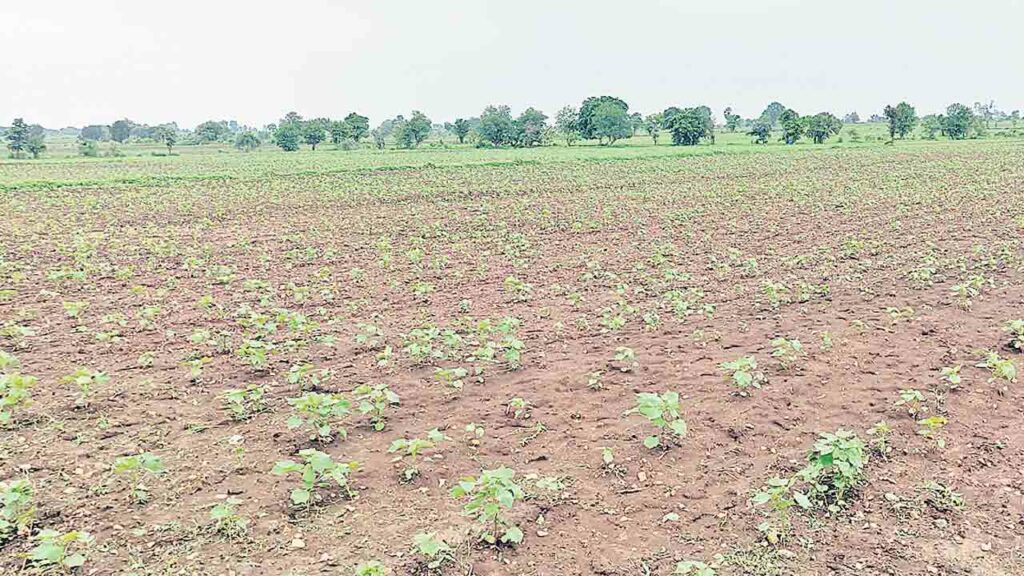 Adilabad Industrial Park | ధర తేల్చాకే భూములు!.. రేవంత్‌ సర్కార్‌కు రైతుల అల్టిమేటం