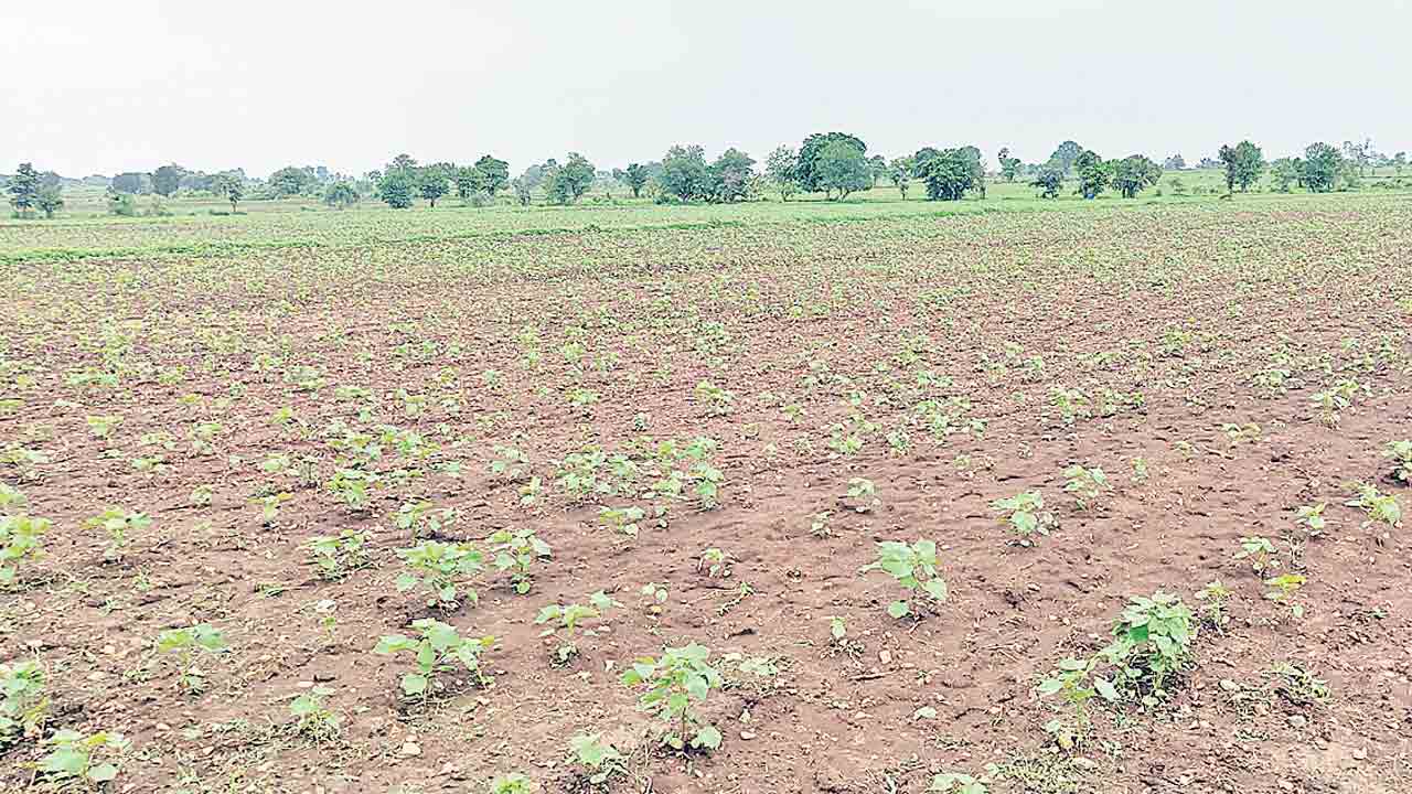 ధర తేల్చాకే భూములు!.. రేవంత్‌ సర్కార్‌కు రైతుల అల్టిమేటం