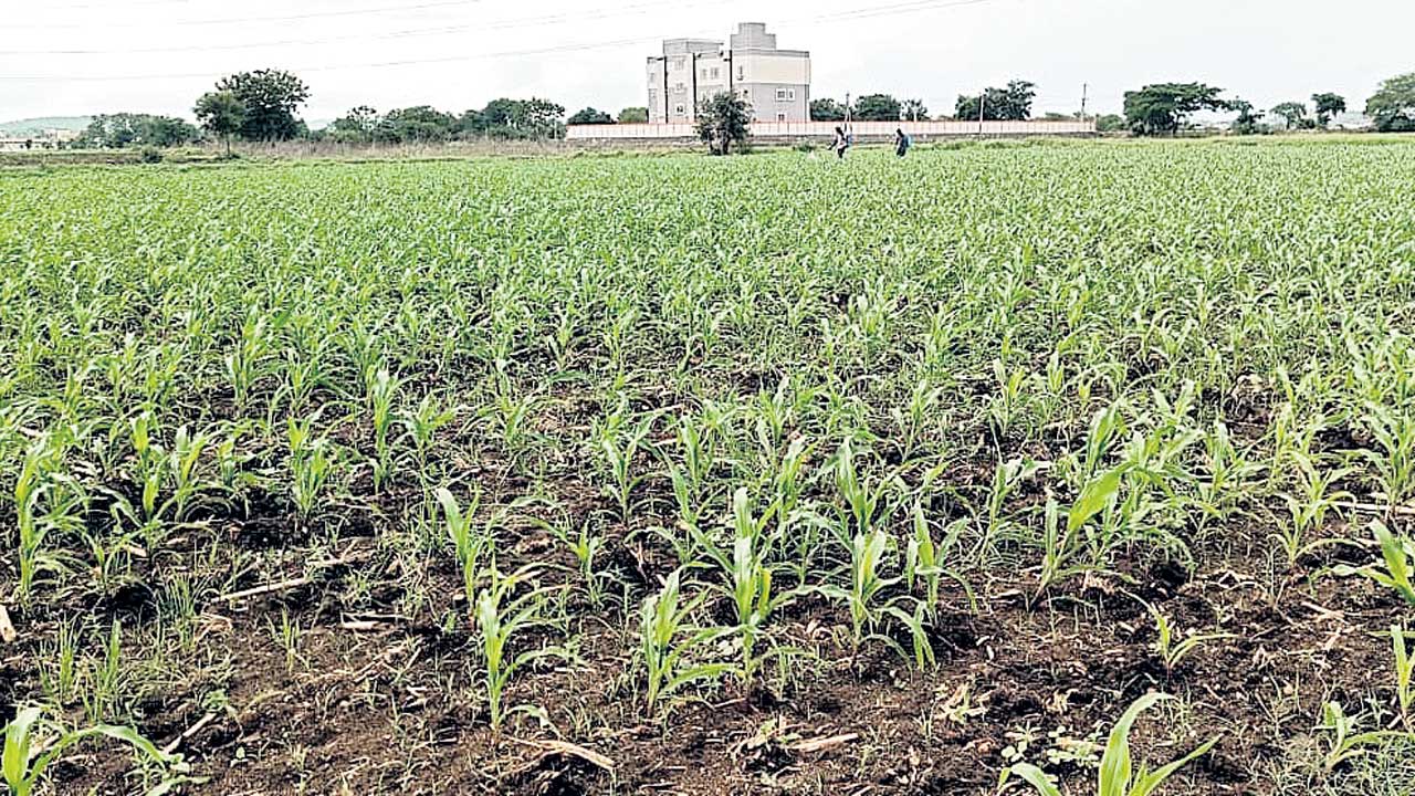Adilabad1
