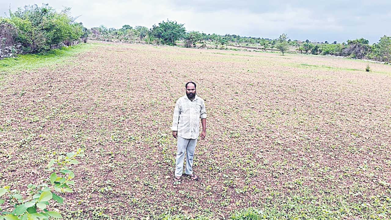 Adilabad1