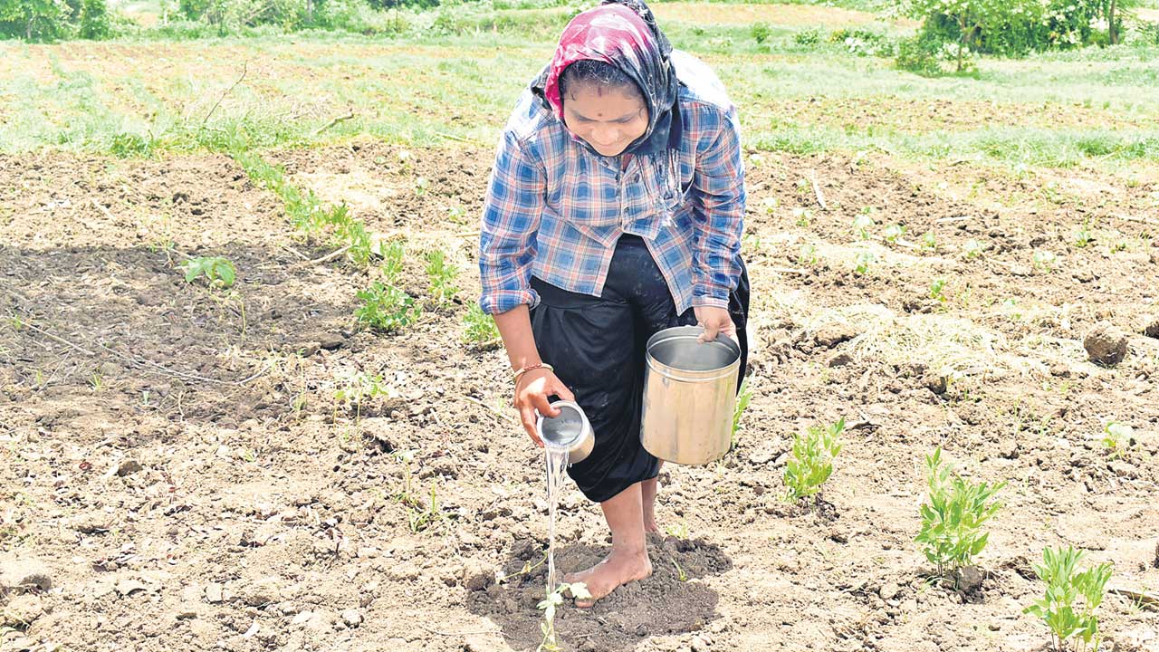 కరువు ఛాయలు