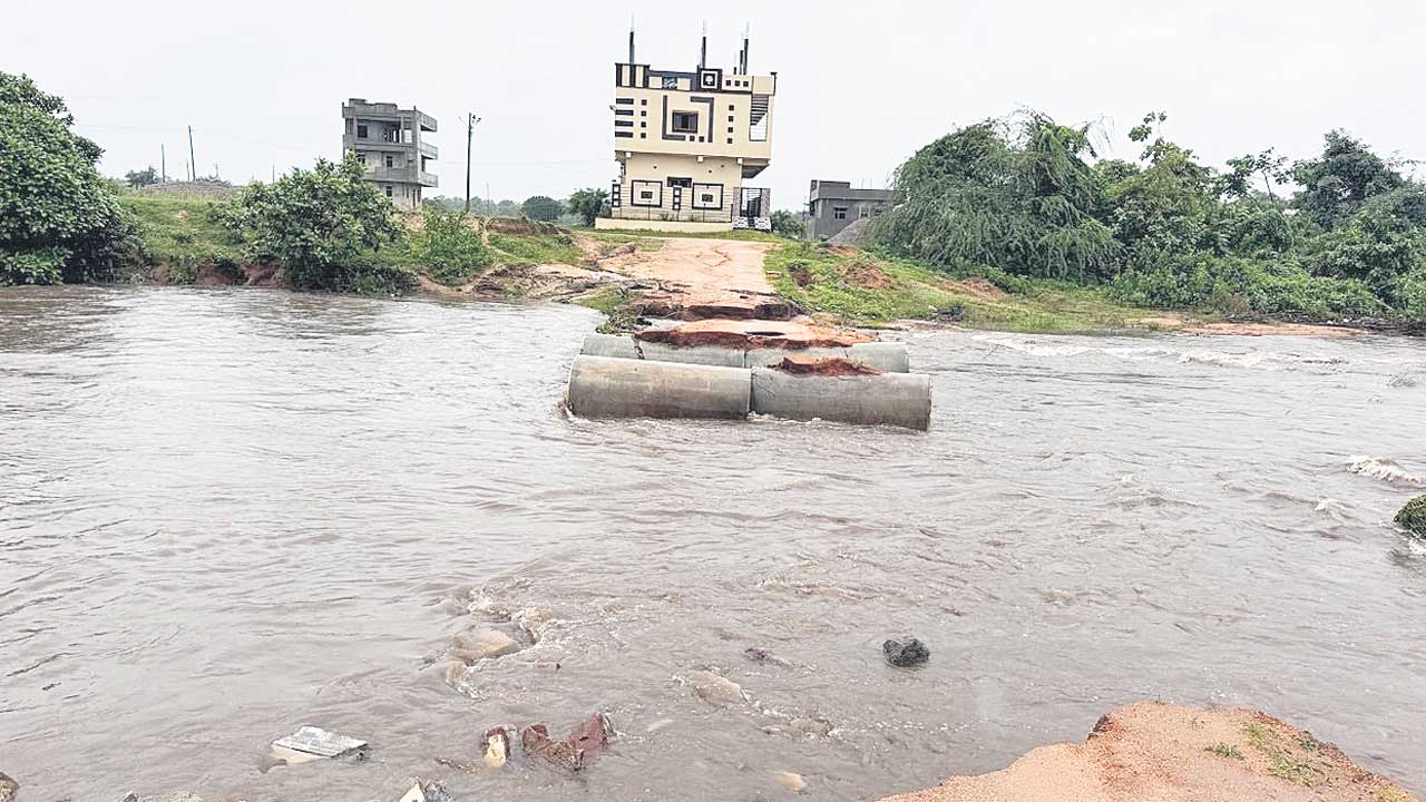 జోరువాన