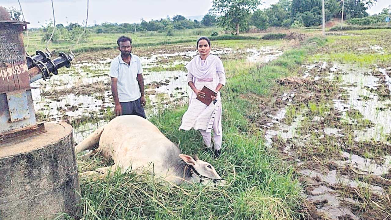 యమపాశాలు