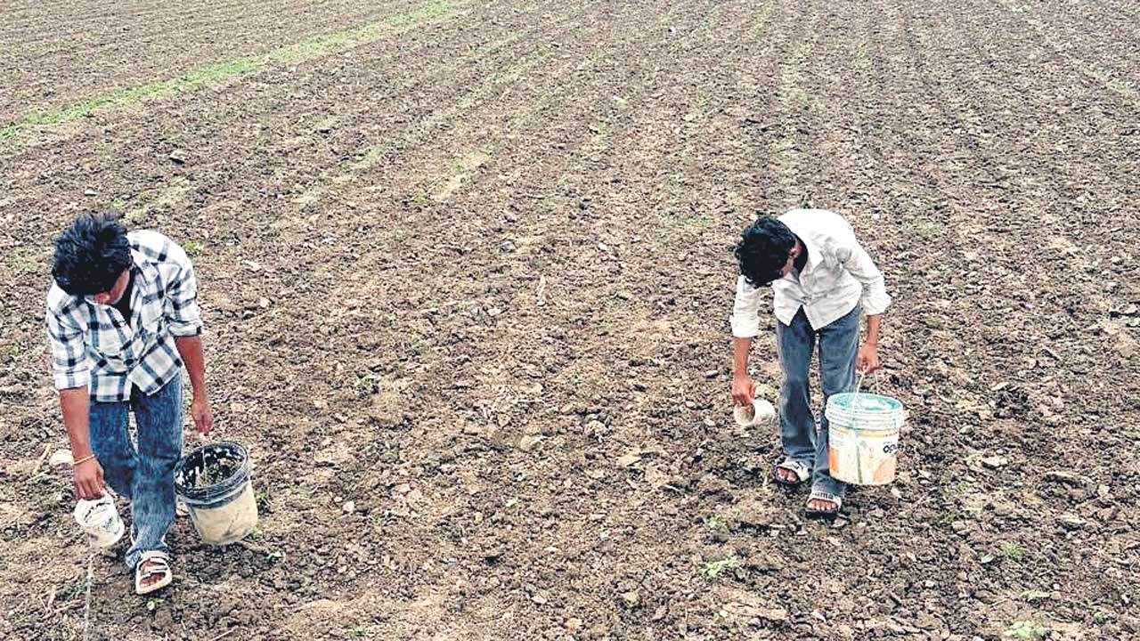 కనిపించని నీళ్లు ఎటు చూసినా బీళ్లు!