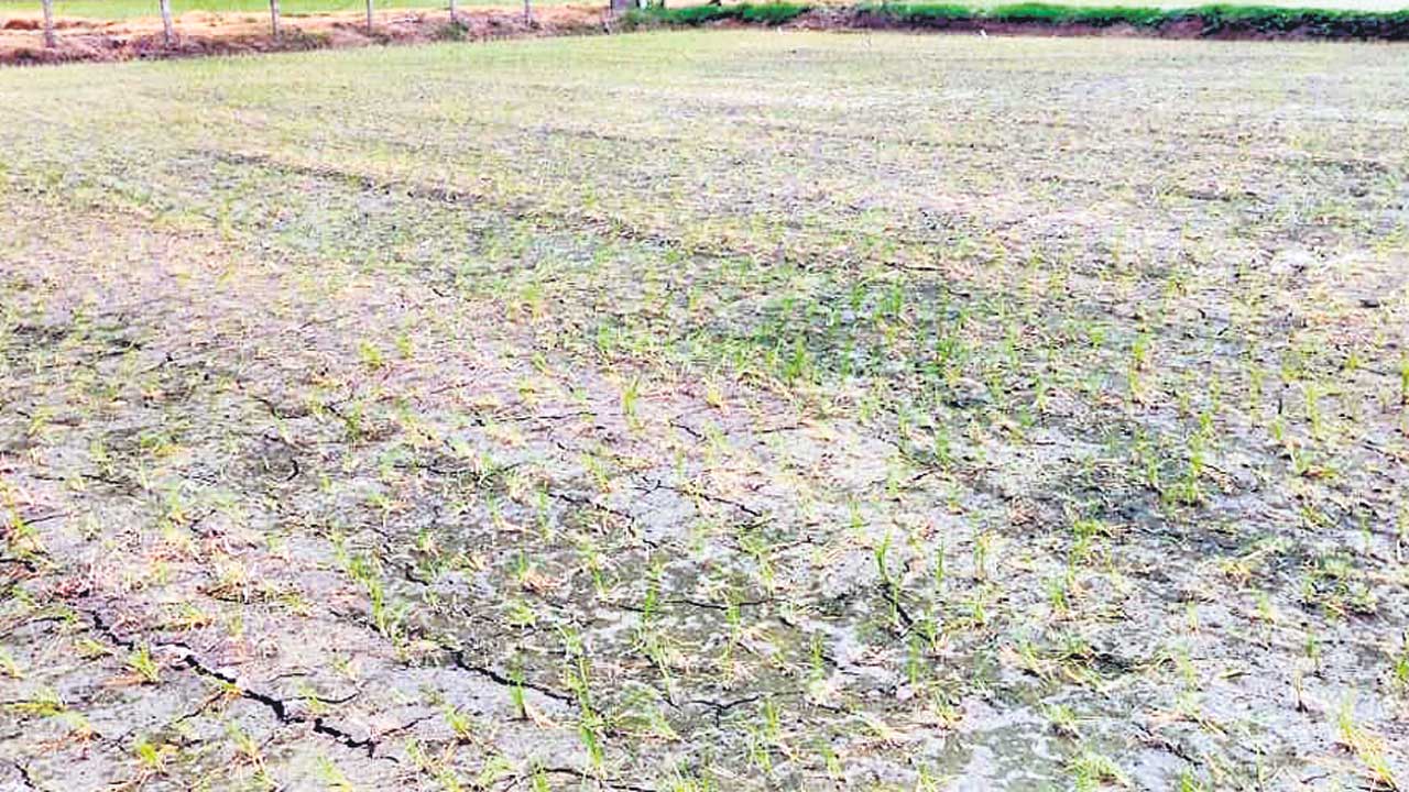 Adilabad4