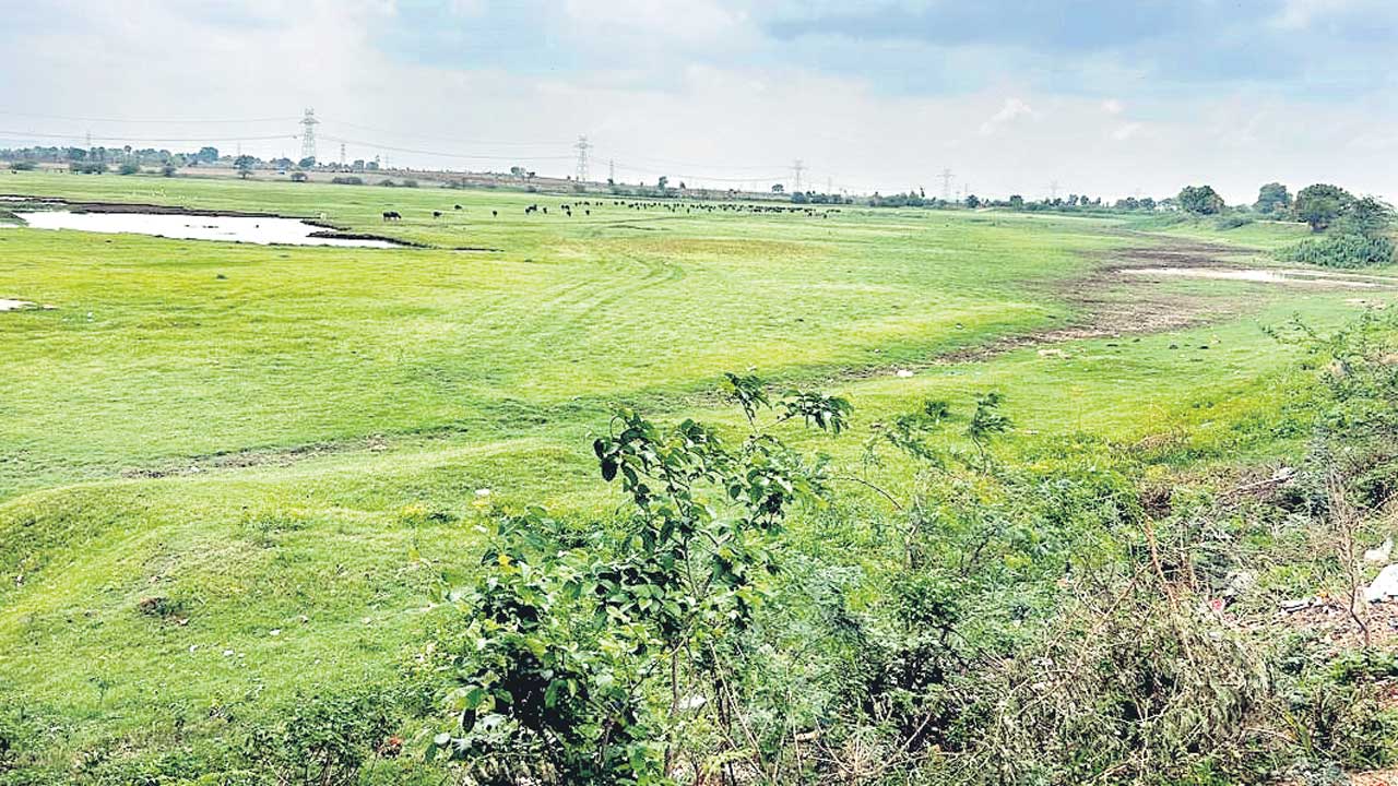 Adilabad4