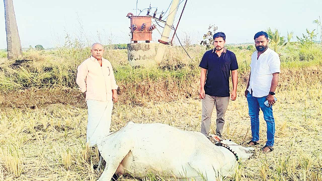 Adilabad4