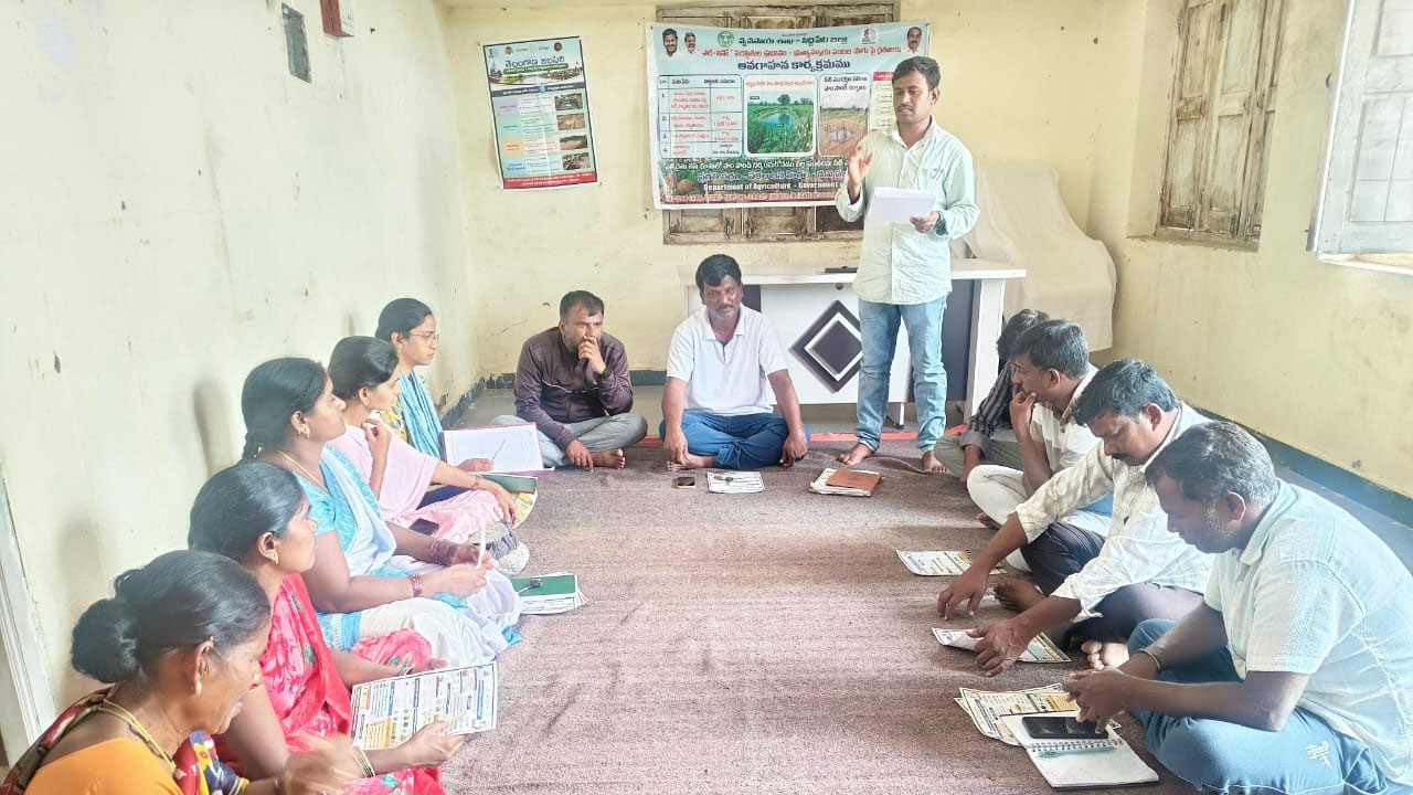 Alternative Crops | ఎల్‌నినో ప్రభావం కారణంగా ప్రత్యామ్నయ పంటలు సాగు చేయాలి