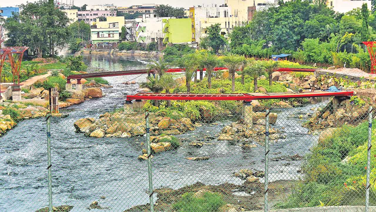 నాలాలు.. కాలుష్య కాసారాలు