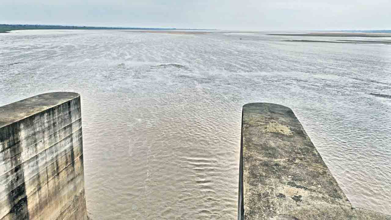 Bhima Rivers