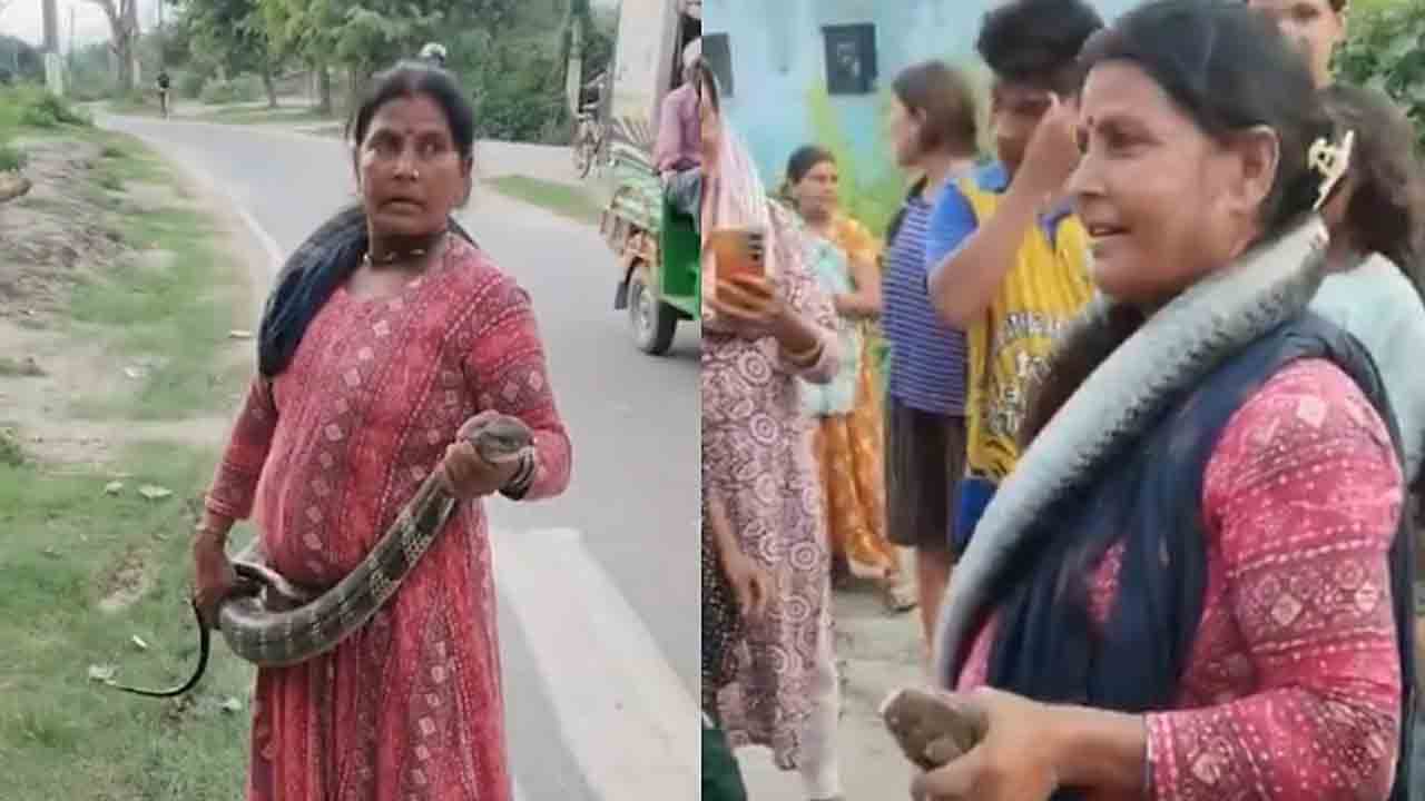 Watch: ఇంట్లోకి చొరబడిన పామును పట్టుకున్న మహిళ.. తర్వాత ఏం   జరిగిందంటే?