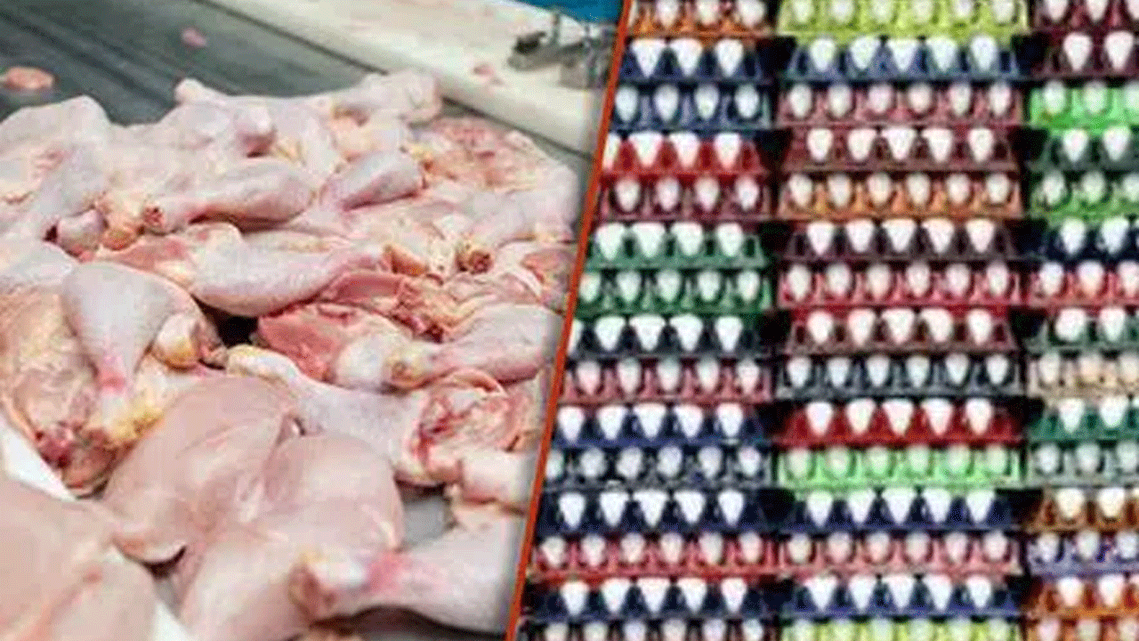 Chicken Price | చికెన్ ధ‌ర‌ల‌కు రెక్క‌లు.. కొండెక్కిన కోడిగుడ్డు..!